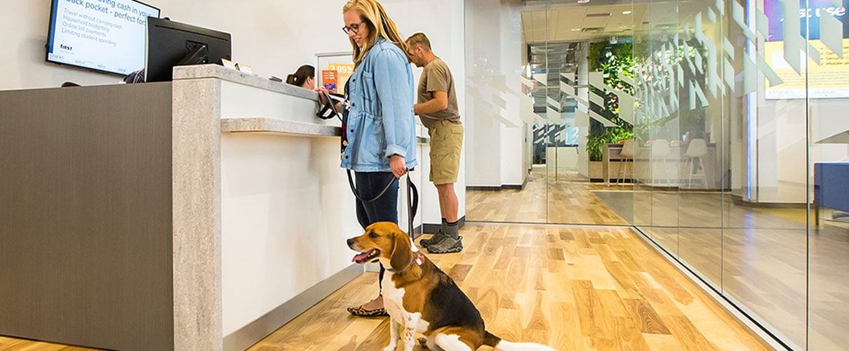 First Financial Bank client with dog inside 4th & Vine banking center