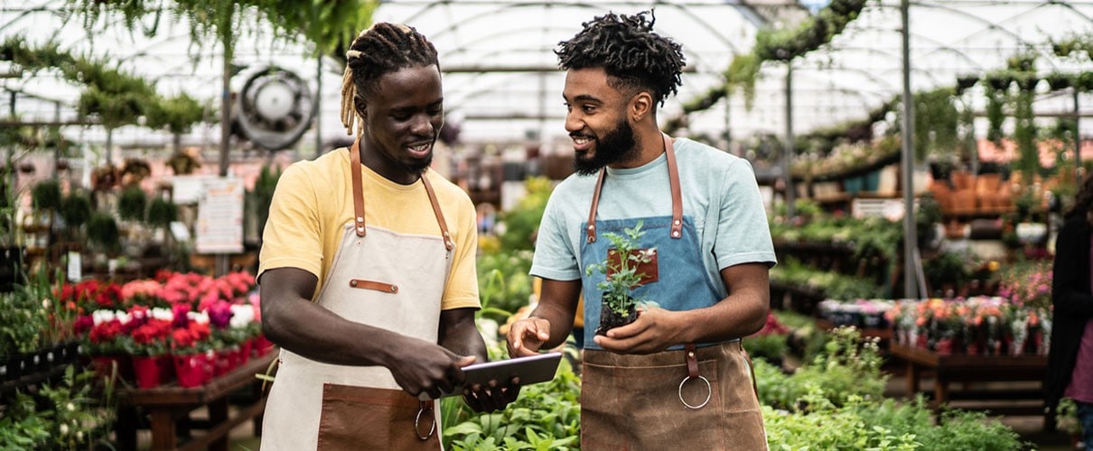 African-American coworkers at greenhouse using tablet