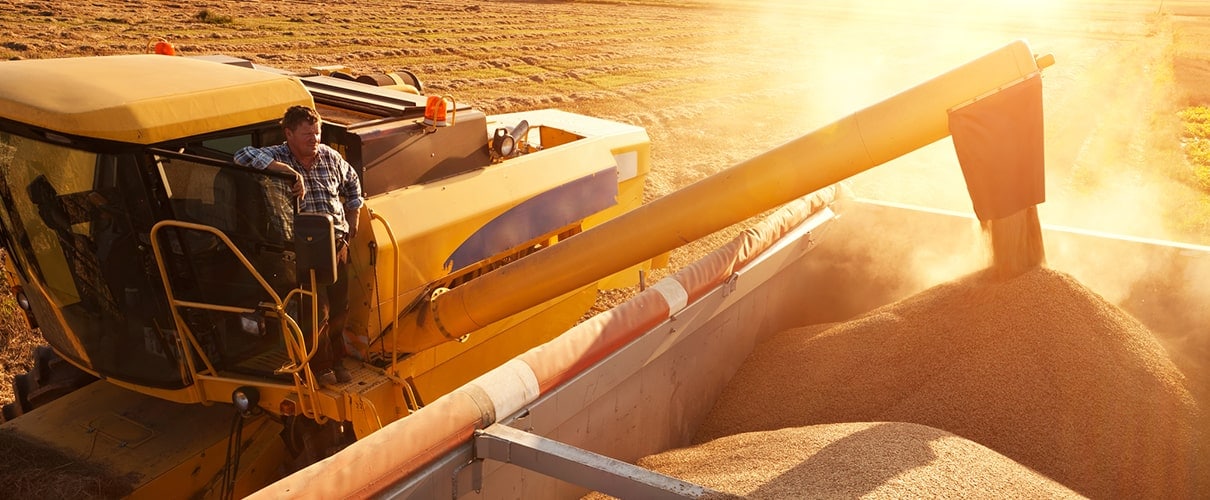 Farmer in combine overlooking crop