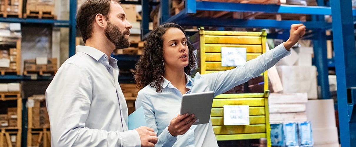 Female plant manager reviewing inventory with financial advisor