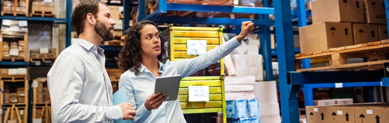 Female plant manager reviewing inventory with financial advisor