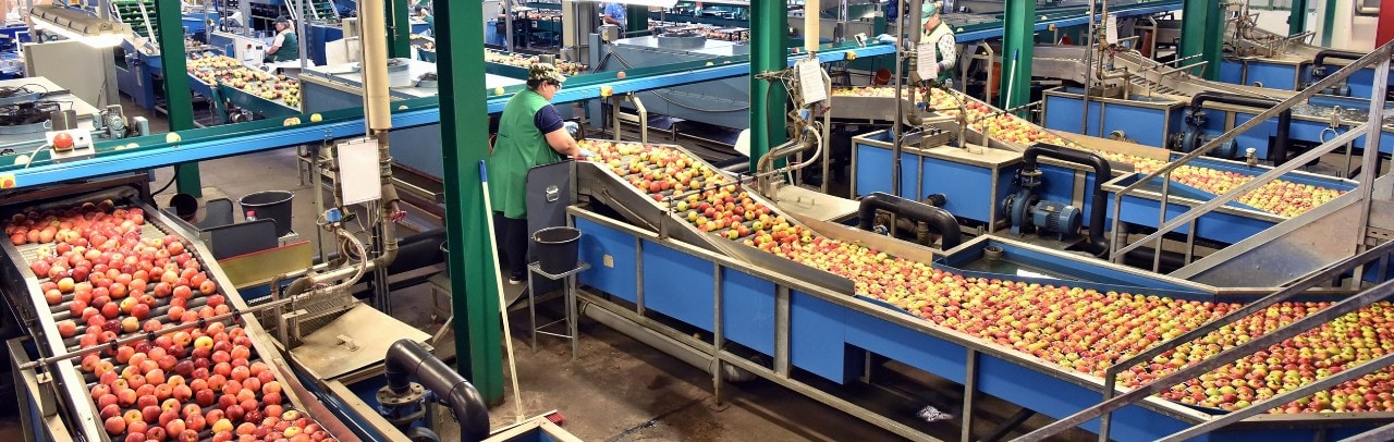 Workers in a food processing plant