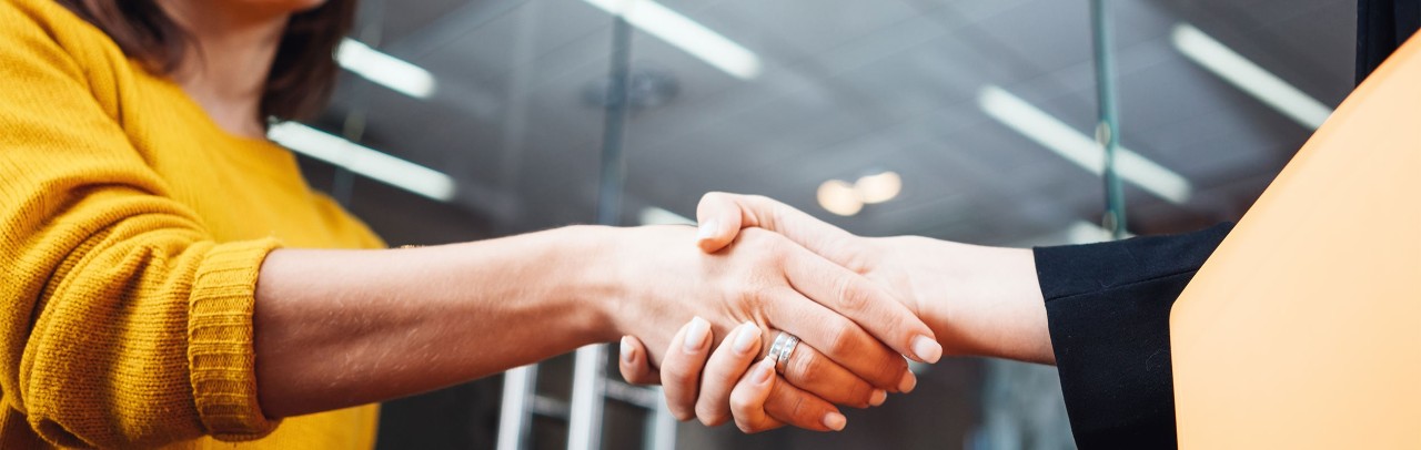 Handshake between businesswoman and female banker