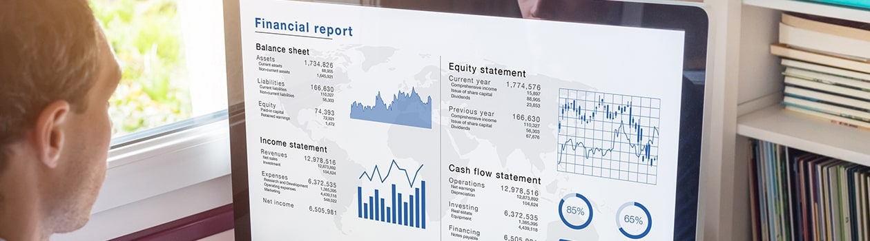 Man reviewing financial report on computer