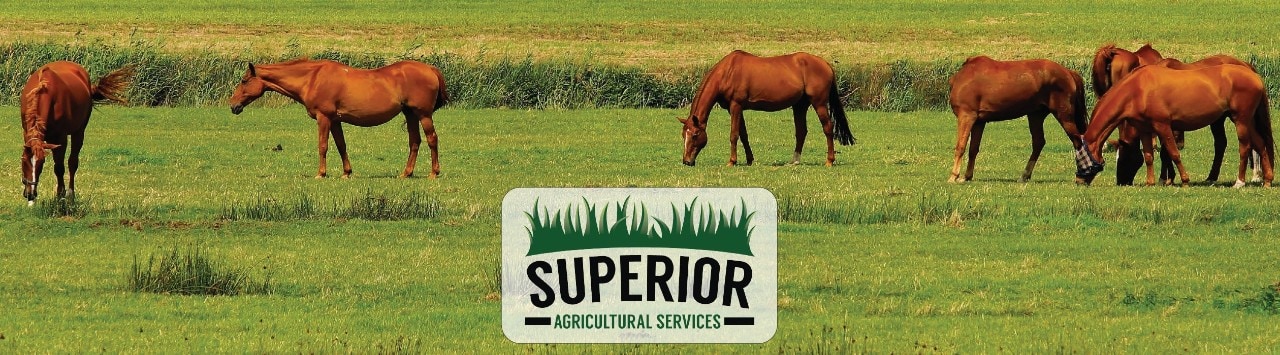 Superior Agricultural Services logo over an image of horses in a field