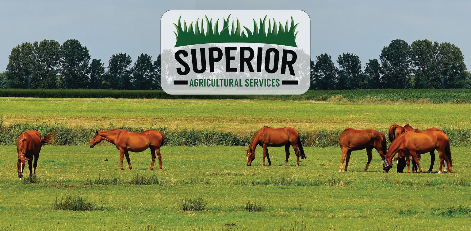 Superior Agricultural Services logo over an image of horses in a field