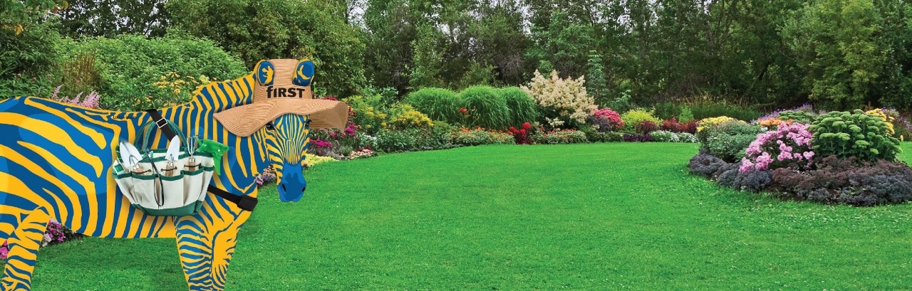 Blue and yellow zebra with straw hat and gardening tools