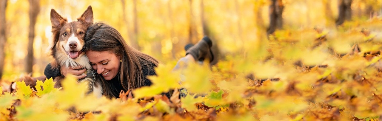 A festive fall landscape with leaves that have changed color and a woman laying in them and hugging her dog.