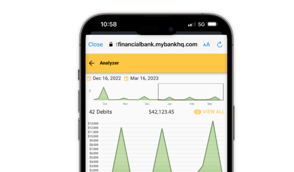 Smartphone showing financial data in First Financial Bank's money management tool