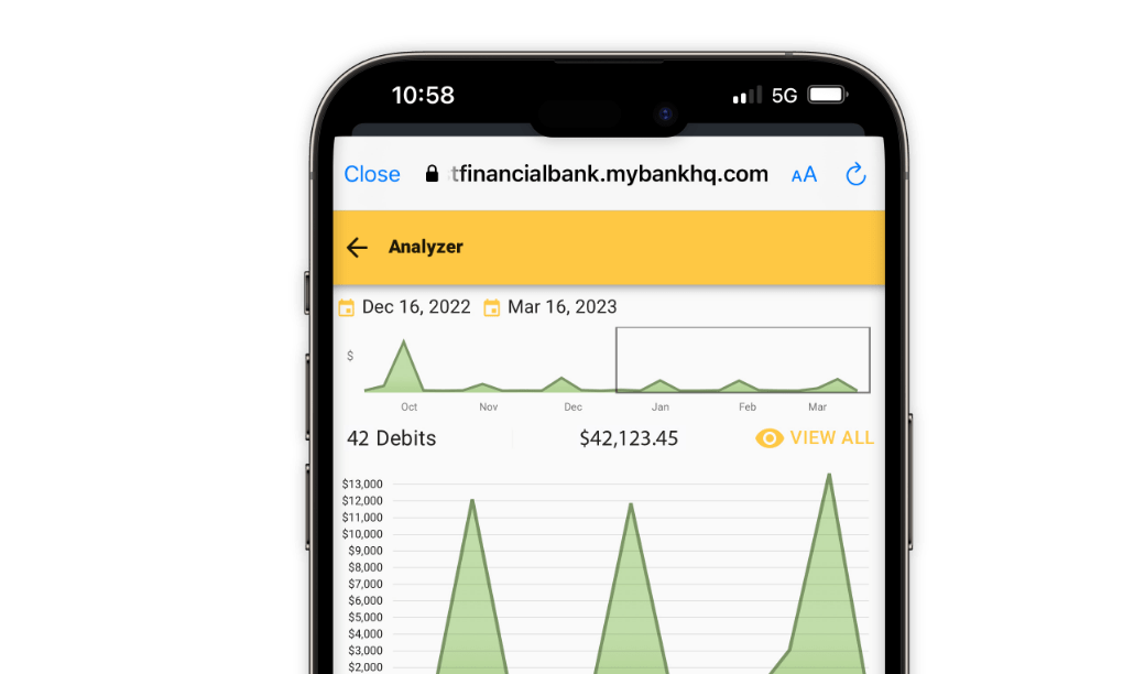 Smartphone showing financial data in First Financial Bank's money management tool