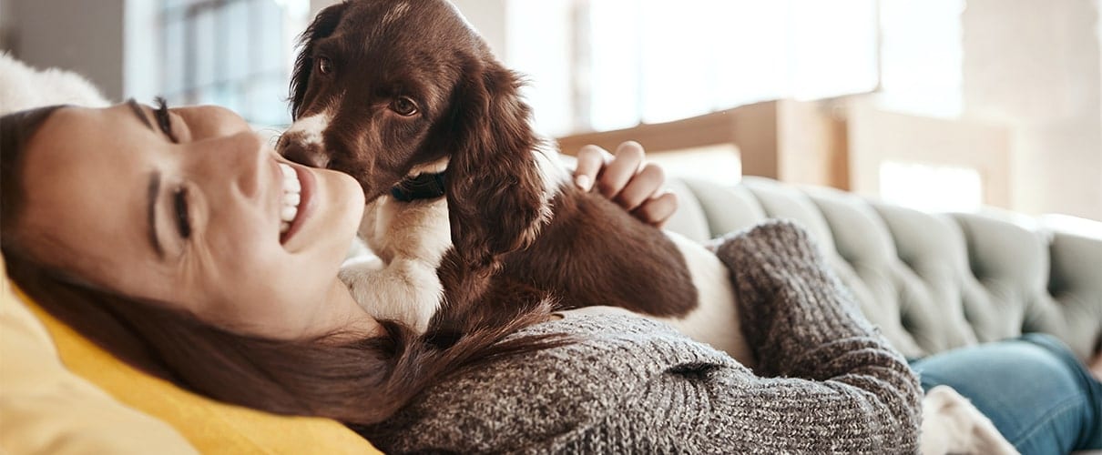 Puppy licking woman’s cheek while laying on couch