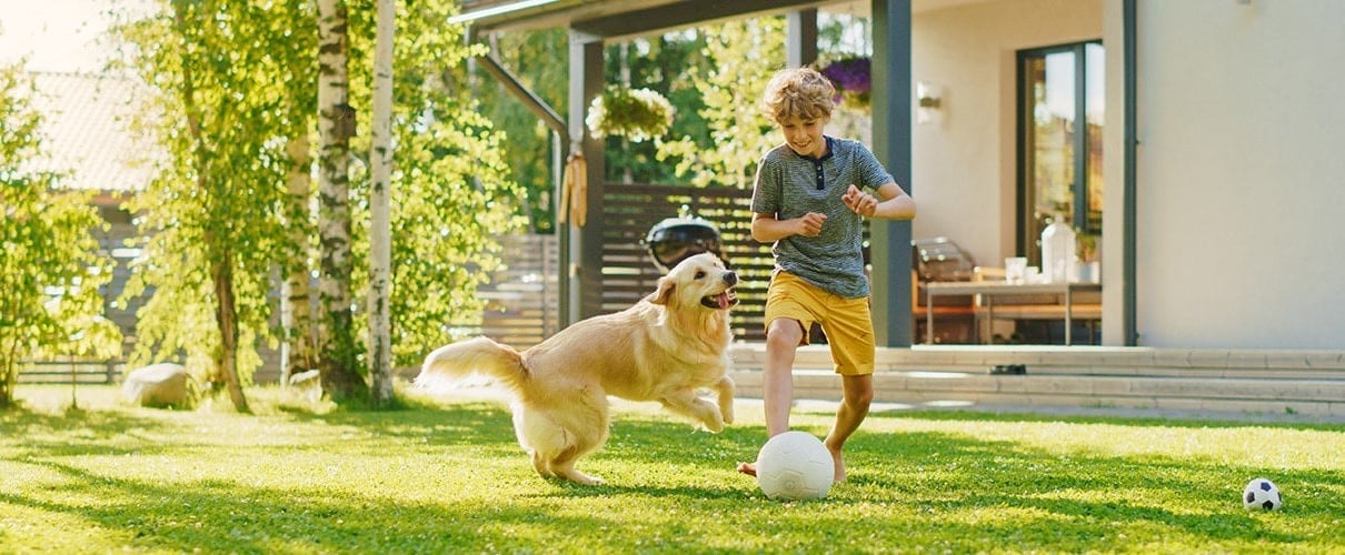 Caucasian boy kicking soccer ball with a golden retriever 