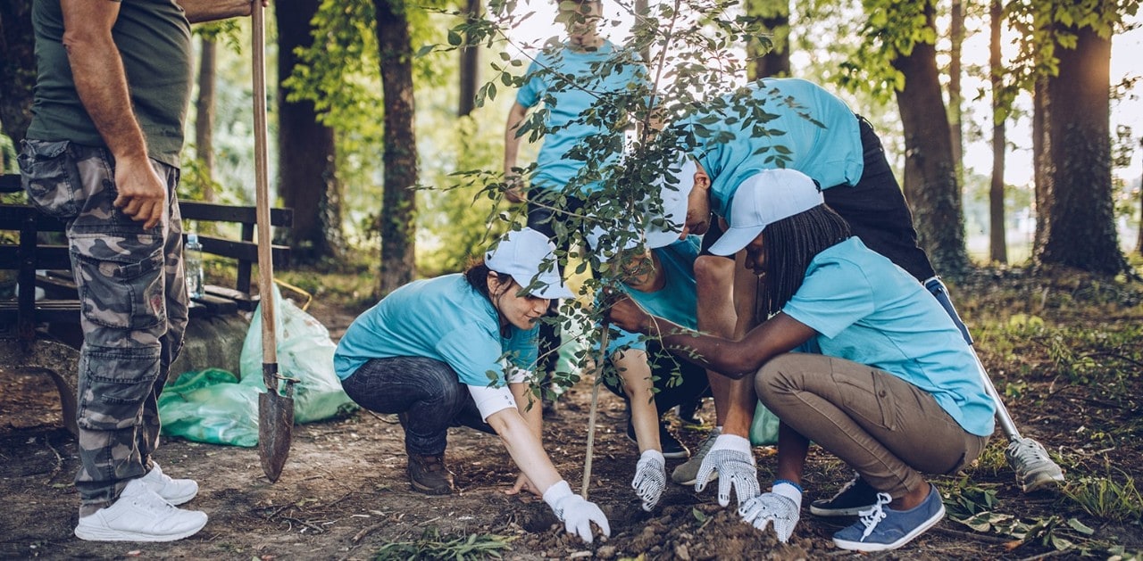 Group of volunteers planting tree at a park