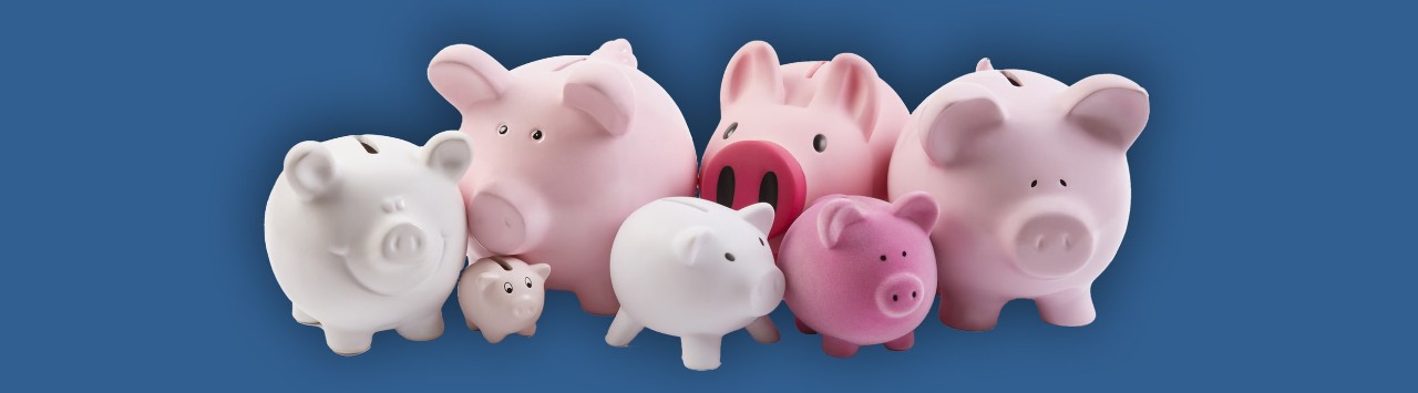 Collection of pink and white piggy banks of varying sizes.