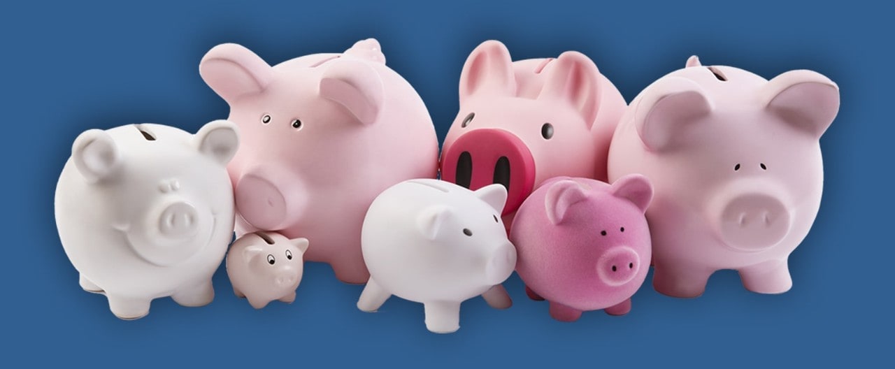 Collection of pink and white piggy banks of varying sizes.