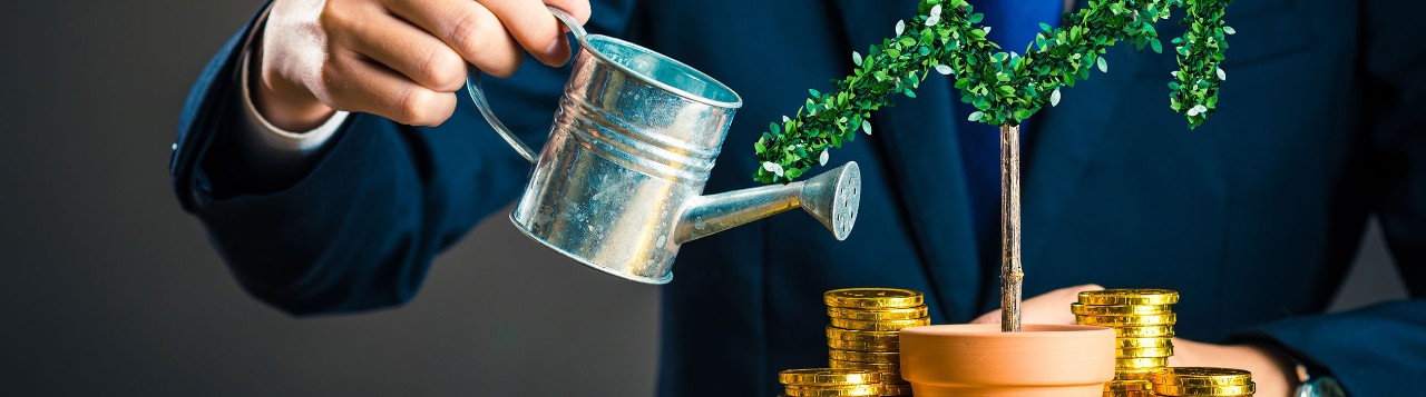 Businessman watering a tiny tree with a stack of coins at the base showing how he plans to grow wealth safely