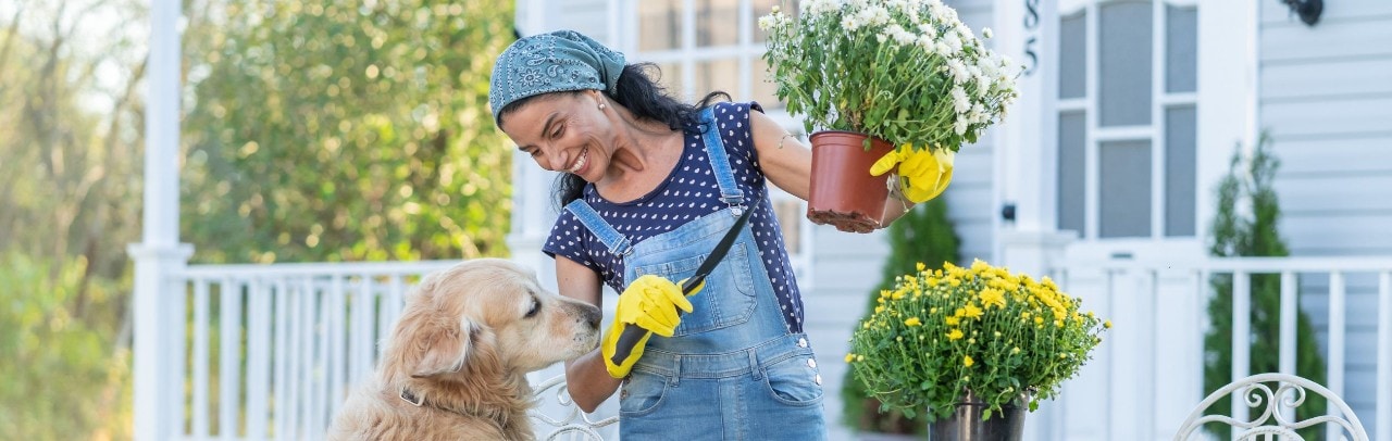 A woman gardening with a gracefully aging golden retriever