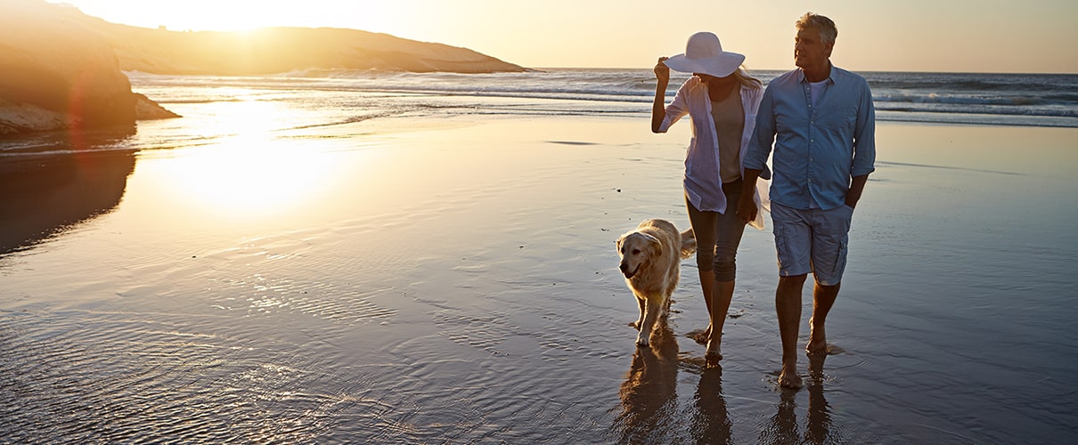 Husband and wife walking along the shoreline with dog during sunset